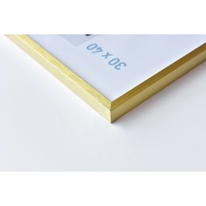 Nielsen Telaio in alluminio C2 50x60 cm struttura oro opaco