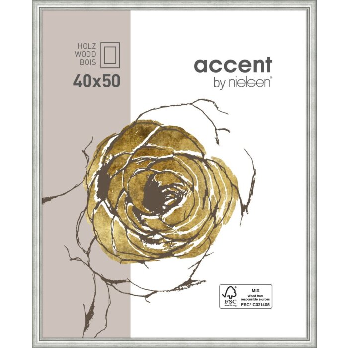 Ascot cornice in legno 40x50 cm argento