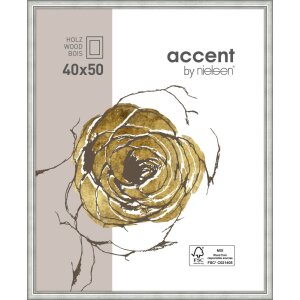 Ascot cornice in legno 40x50 cm argento