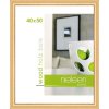 Cornice in legno Derby 40x50 cm oro