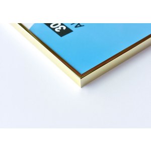 Nielsen Telaio in alluminio Accent 50x60 cm oro