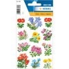 herma sticker fiori di montagna 3 fogli-confezione