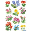 herma sticker fiori di montagna 3 fogli-confezione