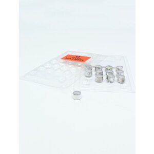 Confezione blister 12 magneti argento