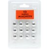 Confezione blister 12 magneti argento