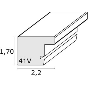 Cornice in plastica S41VD4 argento lucido 10x15 cm