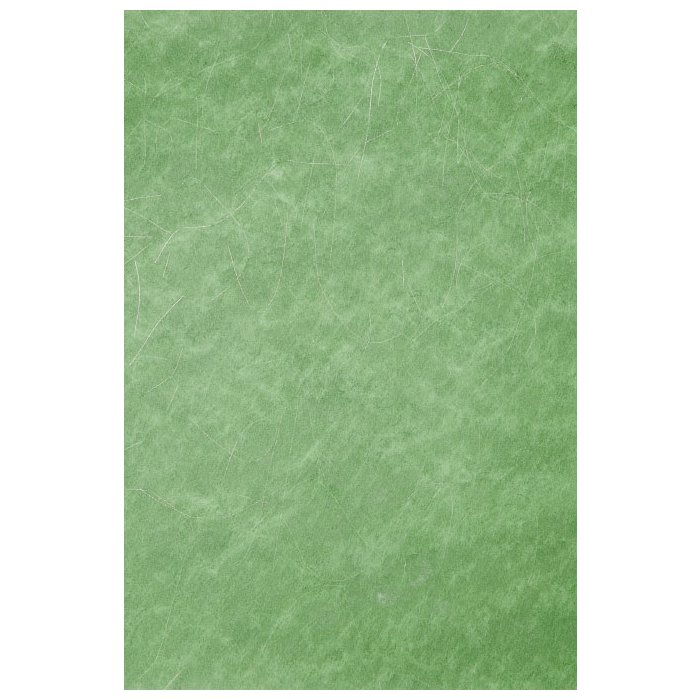 Carta 70x100 cm Pile Argento Filo Verde