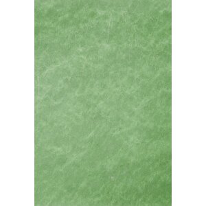 Carta 70x100 cm Pile Argento Filo Verde