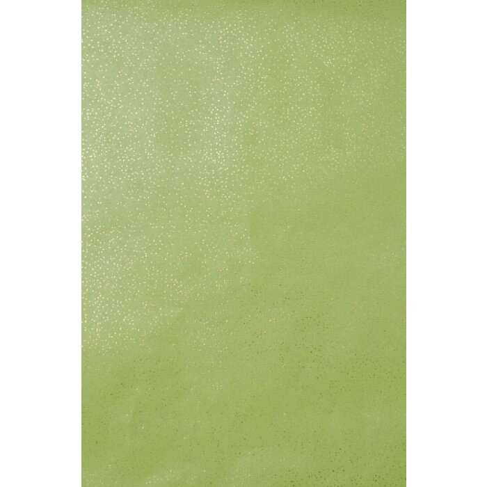 Carta 70x100 cm carta glitterata verde