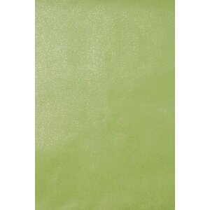 Carta 70x100 cm carta glitterata verde