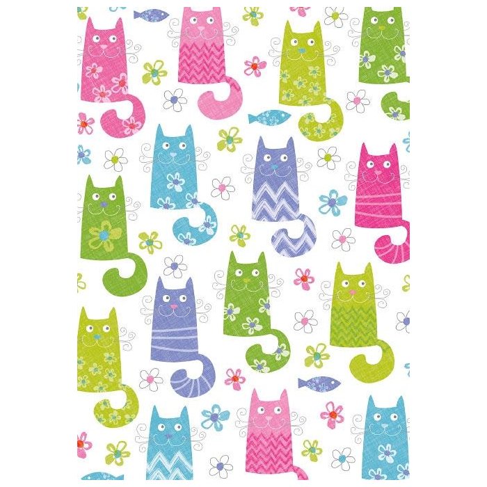 Carta 70x100 cm Cat Moritz